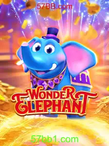Descubra o Fascinante Mundo de WonderElephant